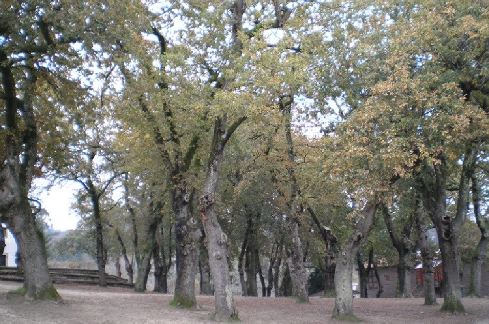 Pisos, casas, chalets... en Bri�n